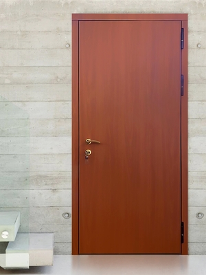 Дверь с МДФ панелью