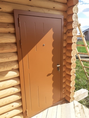 Дверь с выдавленным рисунком в частный дом Дверь с выдавленным рисунком в частный дом