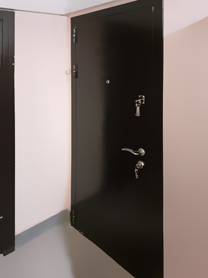 Порошковая дверь в квартиру (Коломенская набережная) Порошковая дверь в квартиру (Коломенская набережная)